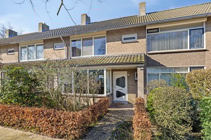 Foto 25 van Regulus 20