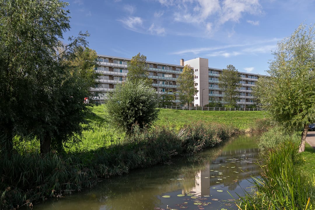 Foto 23 van Zwaluwstraat 226