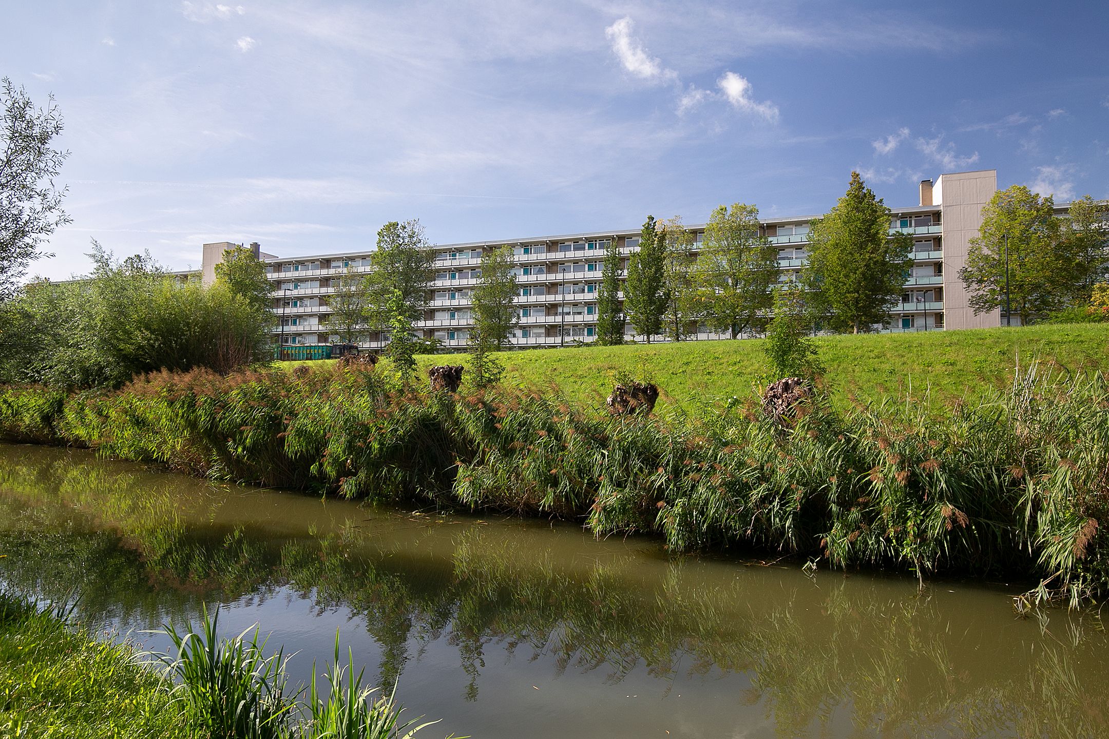 Foto 24 van Zwaluwstraat 226