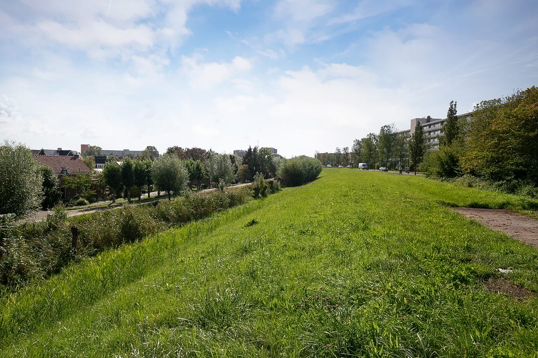 Foto 26 van Zwaluwstraat 226