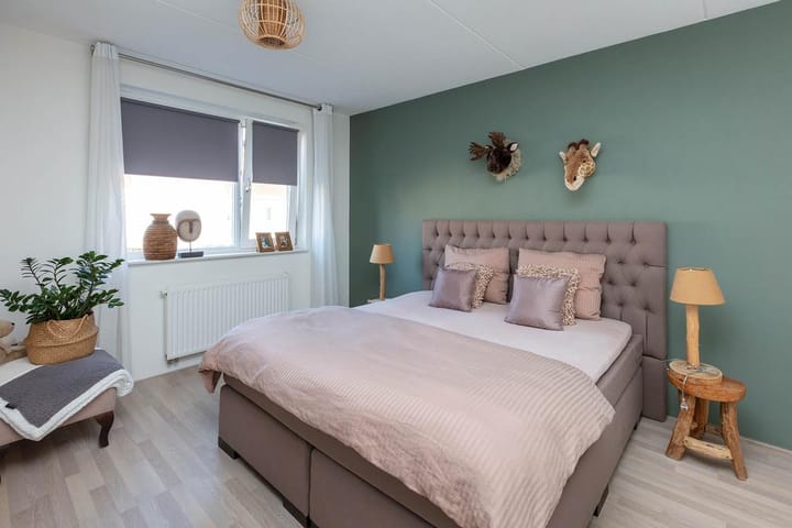 Foto 10 van Lover 43-B