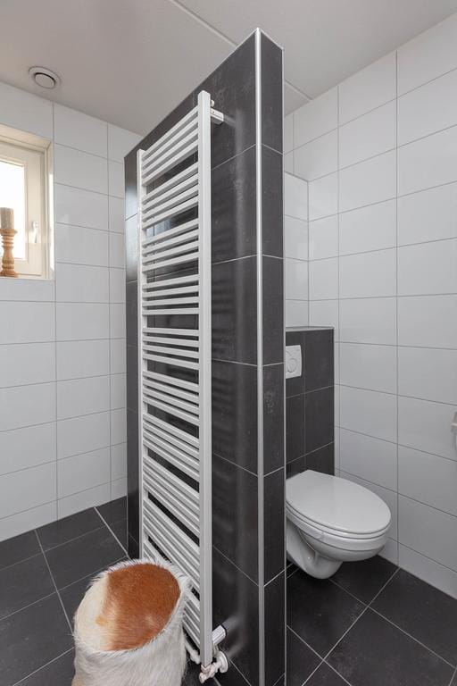 Foto 13 van Lover 43-B