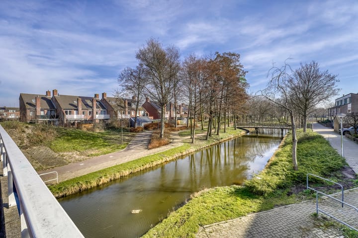 Foto 40 van Schelp 8