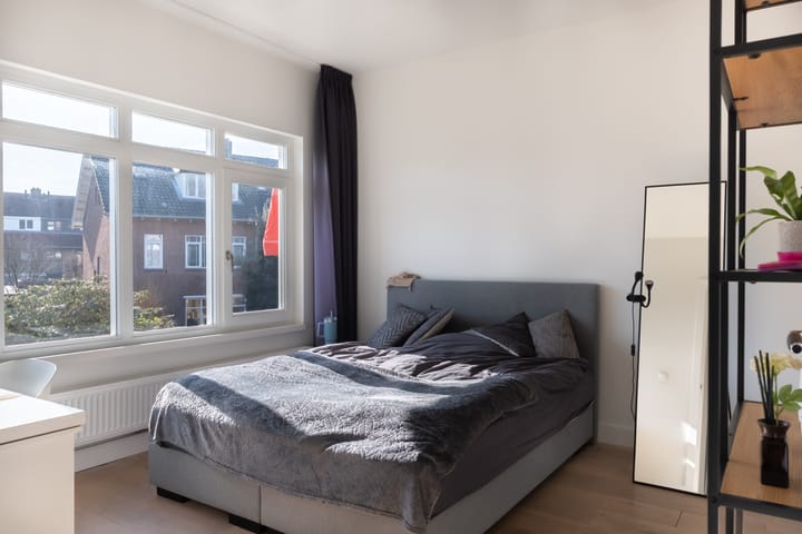 Foto 17 van Anna Paulownalaan 11