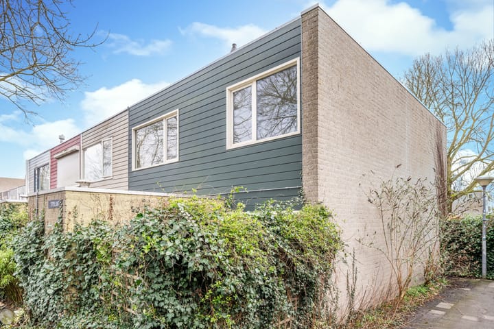 Foto 8 van Strijlant 30