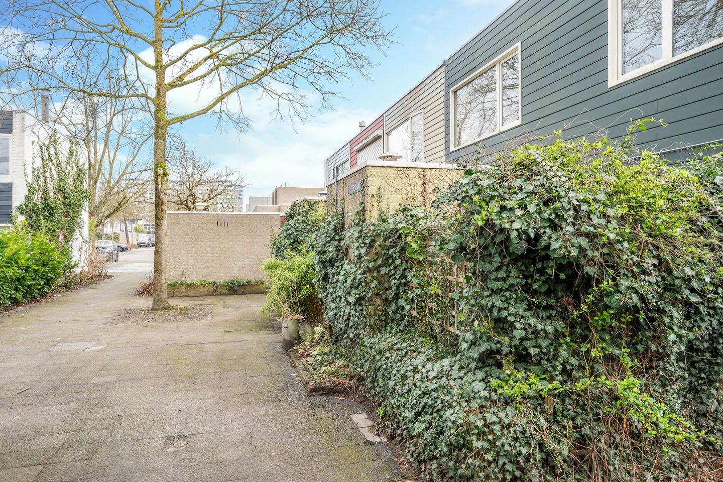 Foto 10 van Strijlant 30