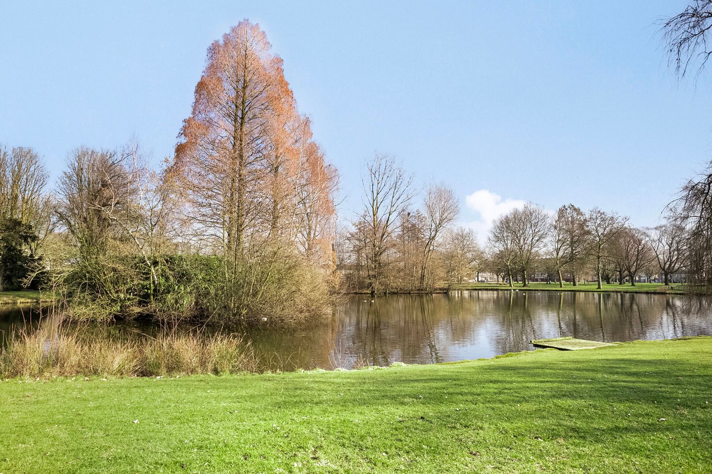 Photo 5 of Narcissenstraat 7