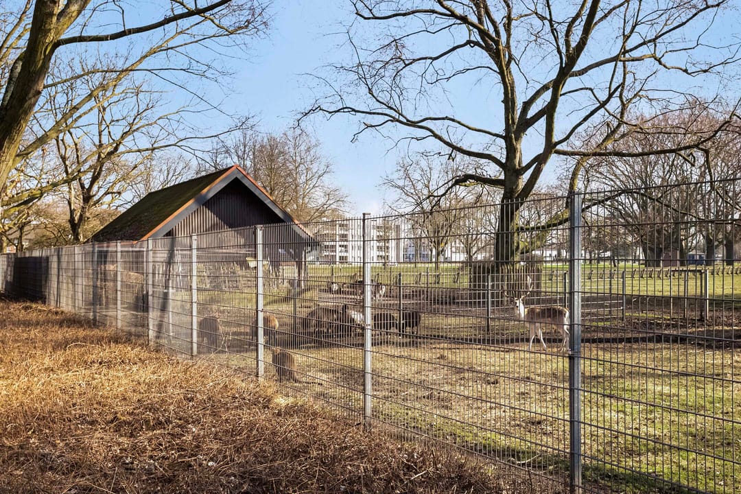 Photo 31 of Narcissenstraat 7