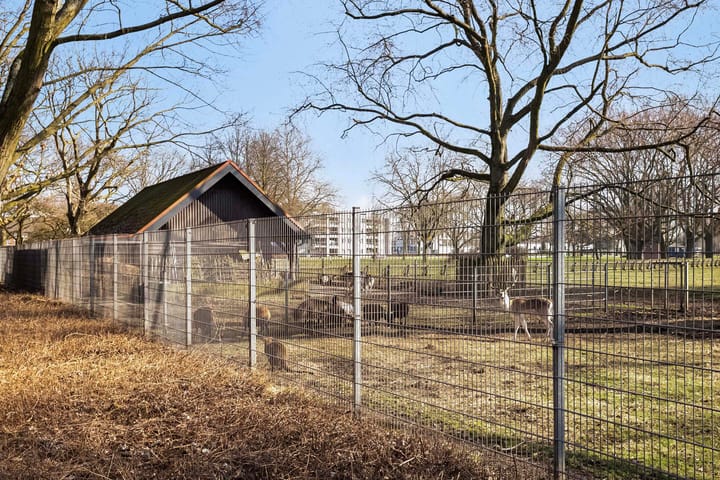 Photo 31 of Narcissenstraat 7