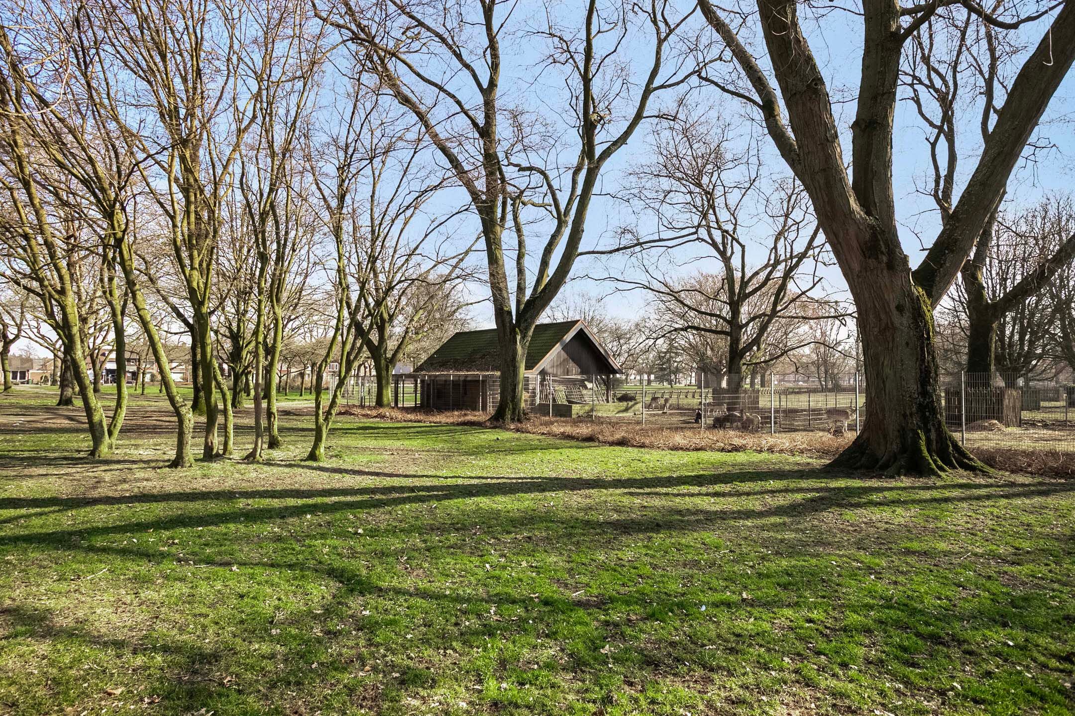 Photo 30 of Narcissenstraat 7