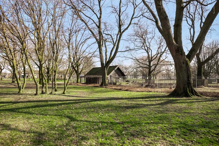 Photo 30 of Narcissenstraat 7