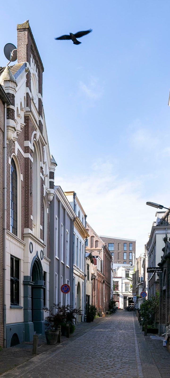 Foto 42 van Begijnenstraat 20