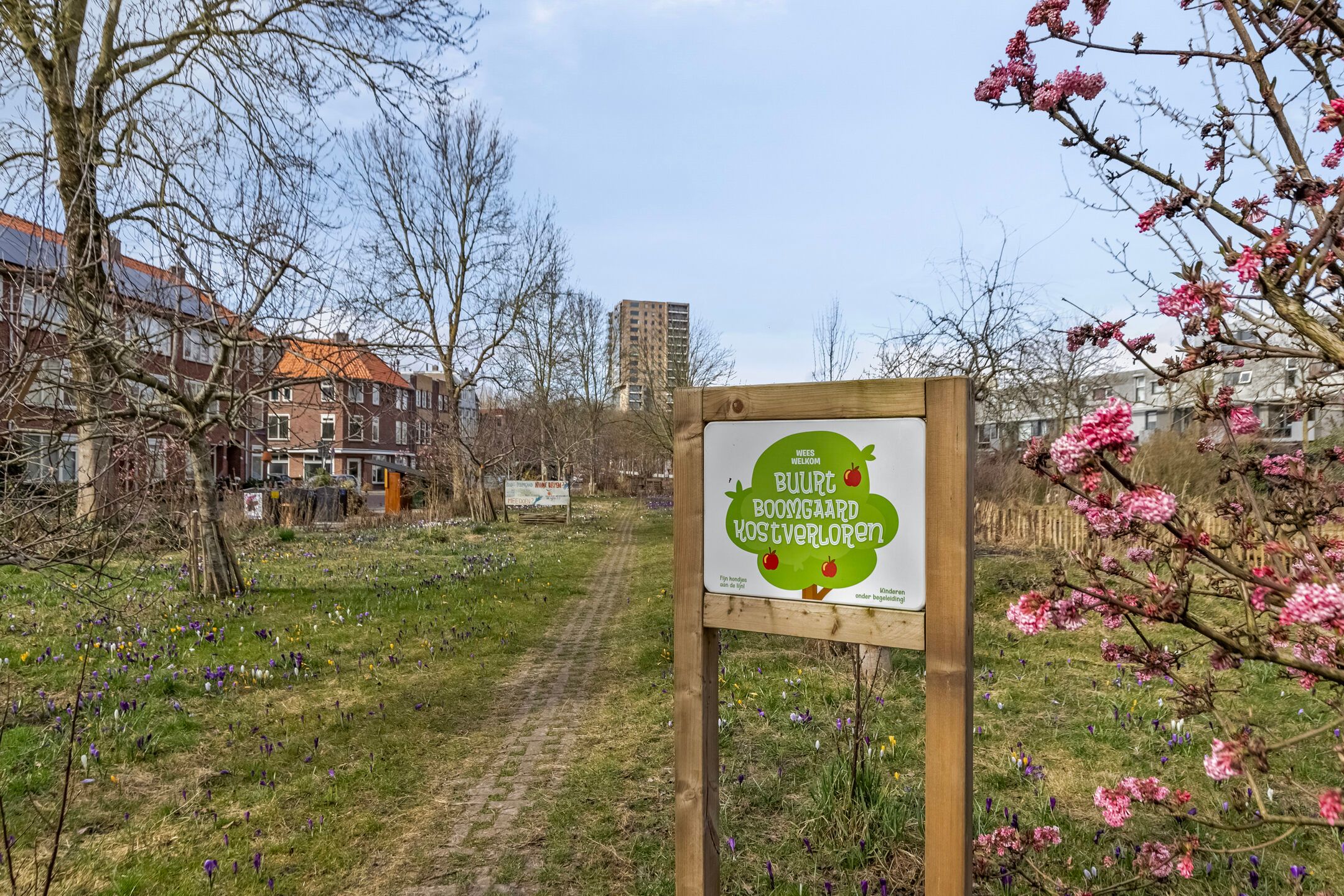 Photo 30 of Friesestraatweg 286