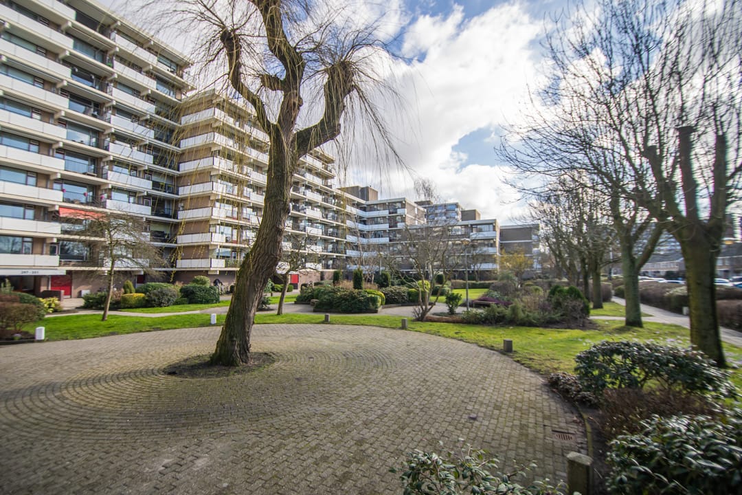 Foto 2 van Hammarskjöldlaan 235