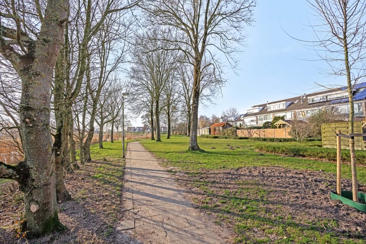 Foto 43 van Frans Halsstraat 34