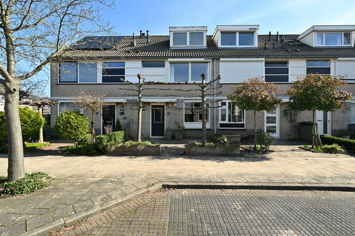 Foto 1 van Blaasbalg 3