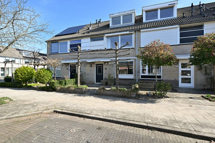 Foto 2 van Blaasbalg 3