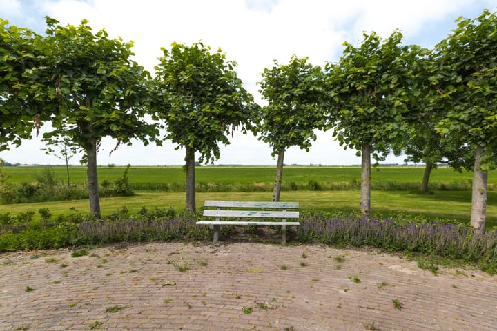 Foto 3 van Blaasbalg 3