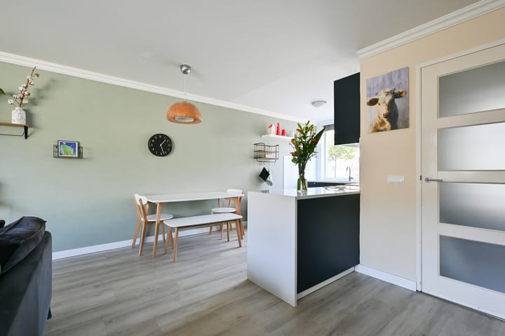 Foto 7 van Blaasbalg 3