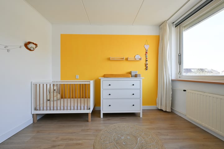 Foto 15 van Blaasbalg 3