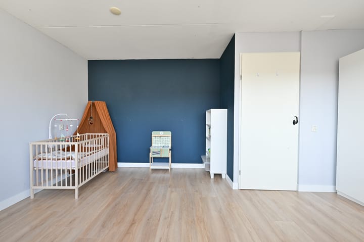 Foto 19 van Blaasbalg 3