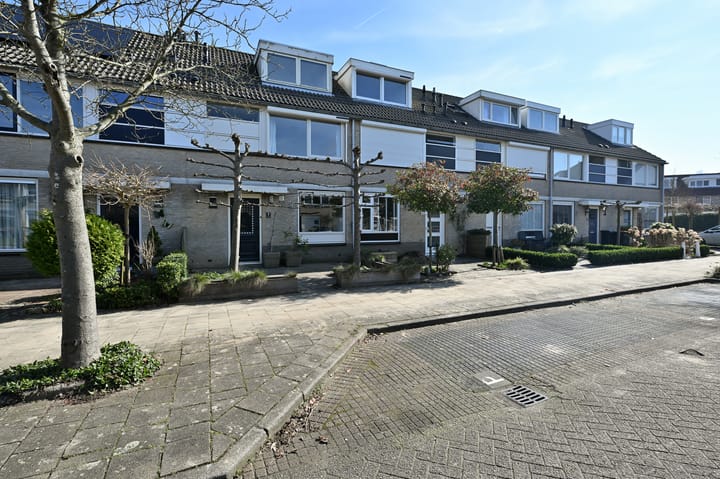 Foto 30 van Blaasbalg 3