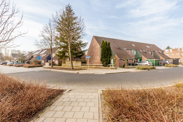 Foto 31 van Griend 30 21