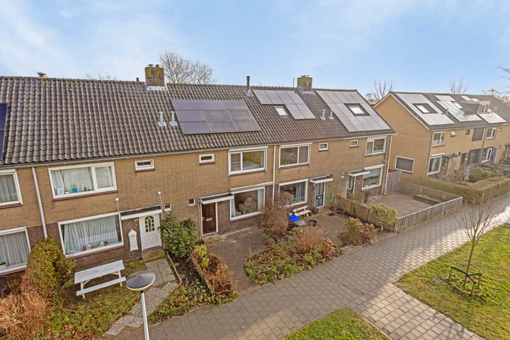 Foto 41 van Jan Steijnstraat 41