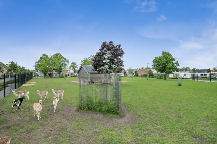 Foto 62 van Oudlandsestraat 25