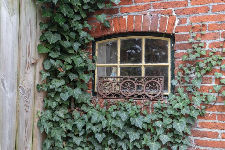 Photo 14 of Hoofdweg 176