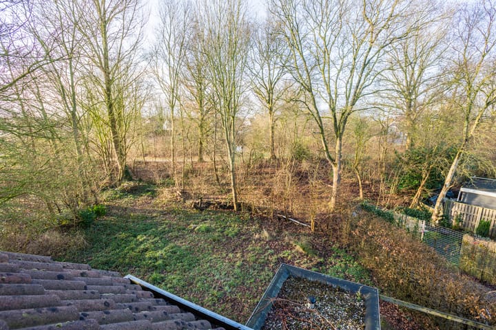 Foto 37 van Pieter Bindervoetlaan 32