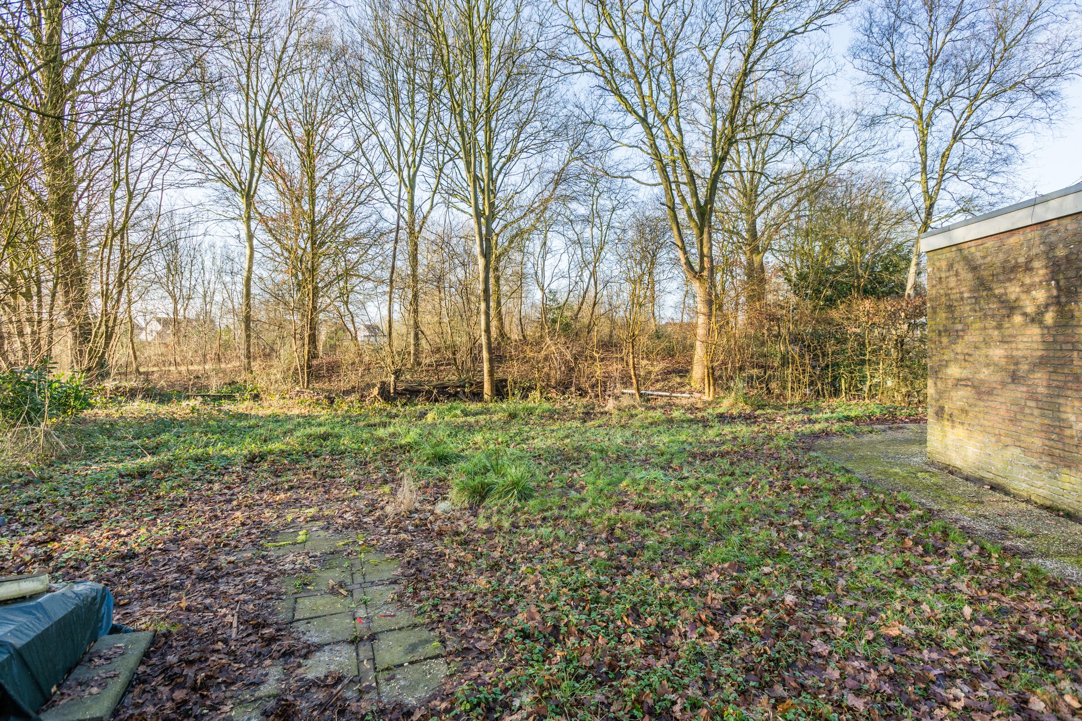 Photo 39 of Pieter Bindervoetlaan 32