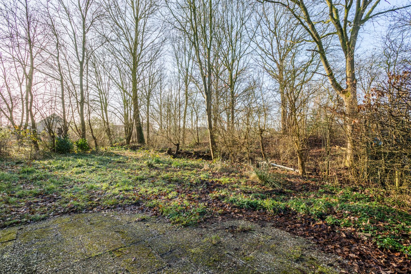 Photo 40 of Pieter Bindervoetlaan 32