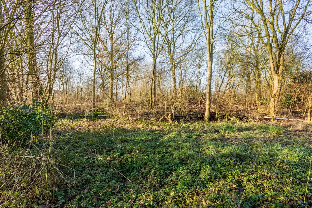 Photo 41 of Pieter Bindervoetlaan 32