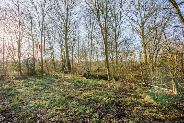 Foto 44 van Pieter Bindervoetlaan 32