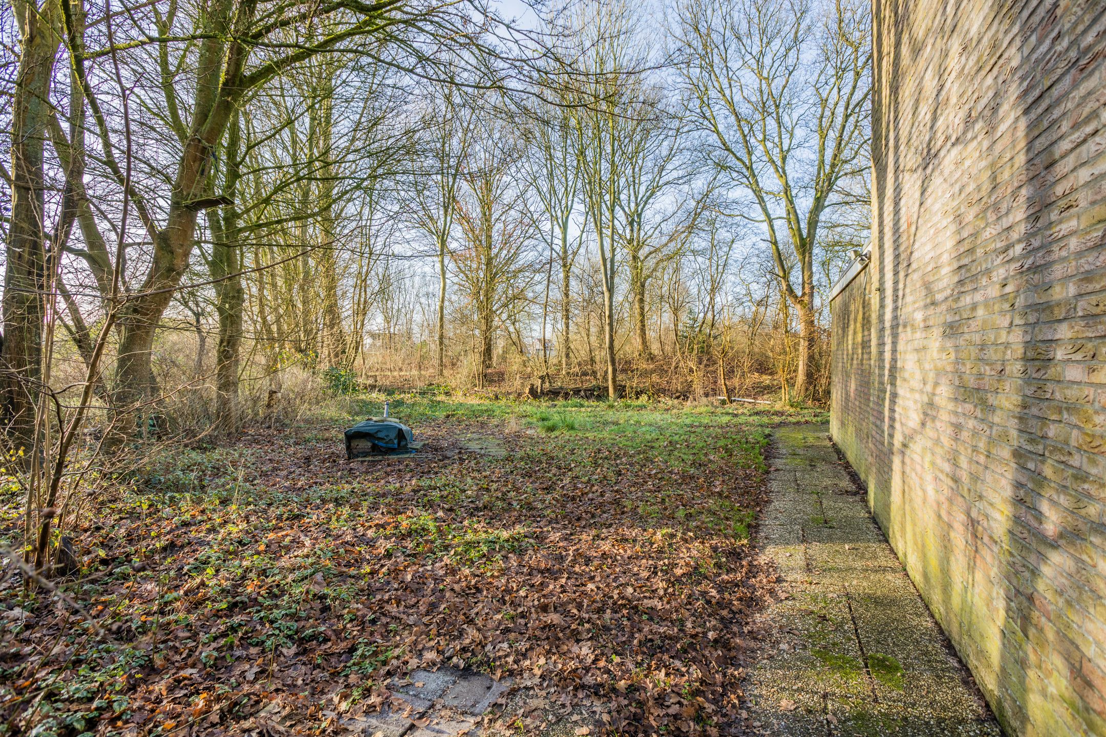 Photo 45 of Pieter Bindervoetlaan 32