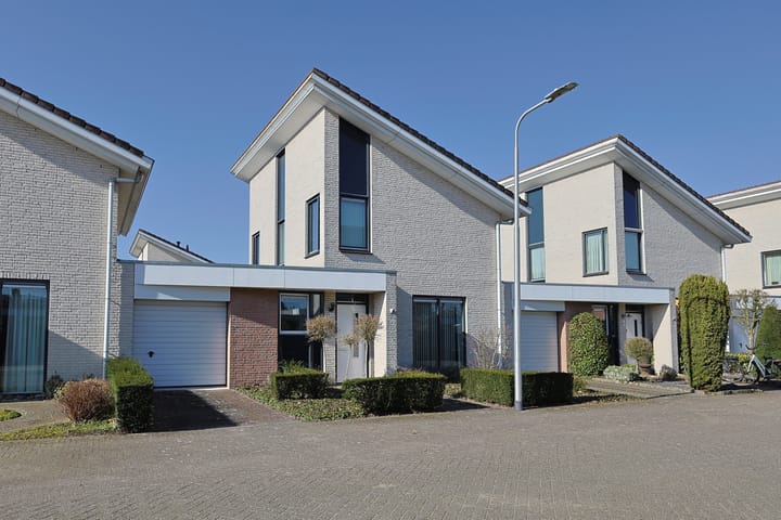 Foto 1 van Kattedoorn 6