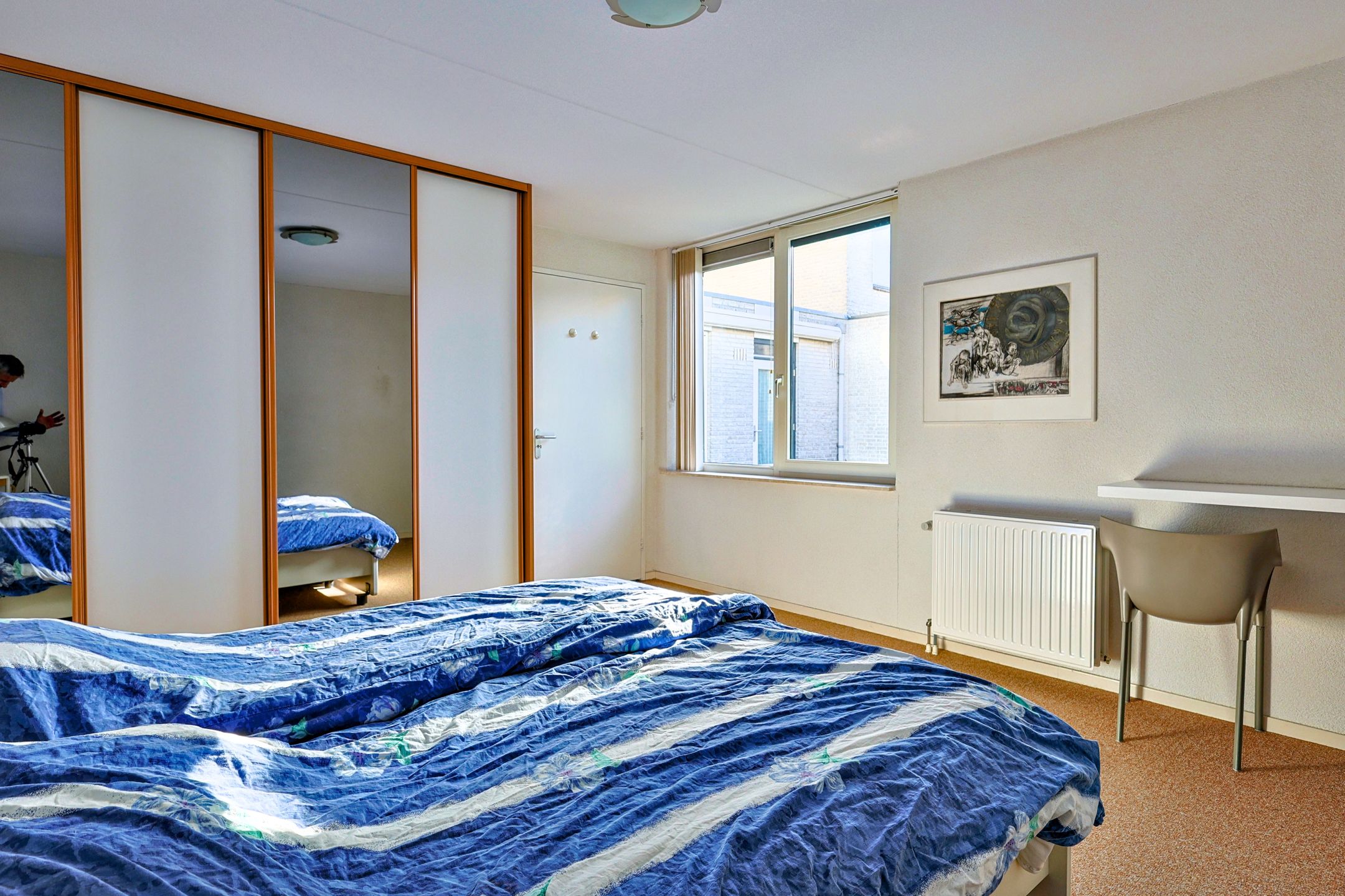 Foto 15 van Kattedoorn 6