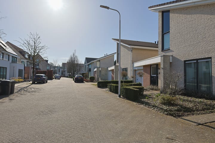 Foto 27 van Kattedoorn 6