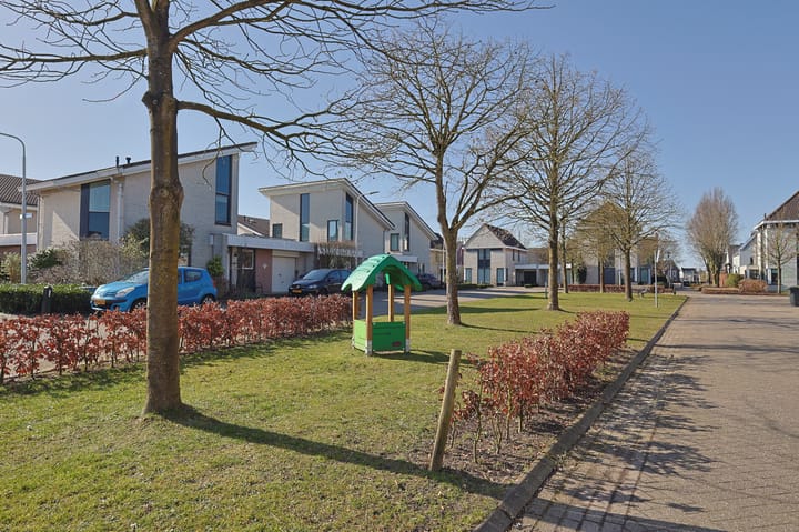 Foto 28 van Kattedoorn 6