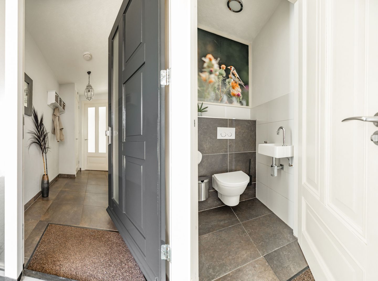 Foto 10 van Laurier 8