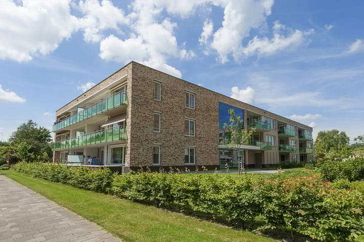 Foto 2 van Kamille 16-14