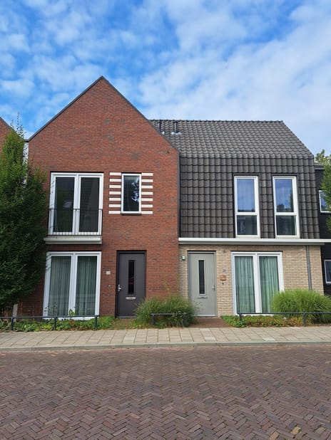 undefined main image