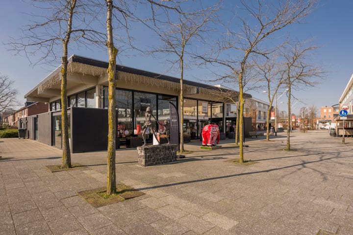 Foto 33 van Koolmeeslaan 10