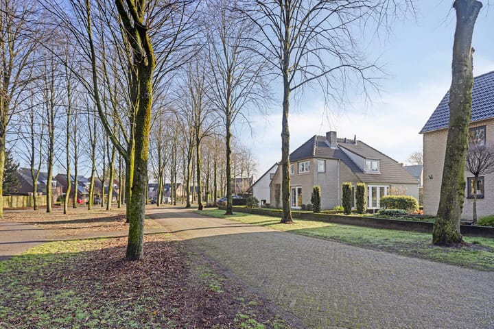 Foto 39 van Mercuriusstraat 6