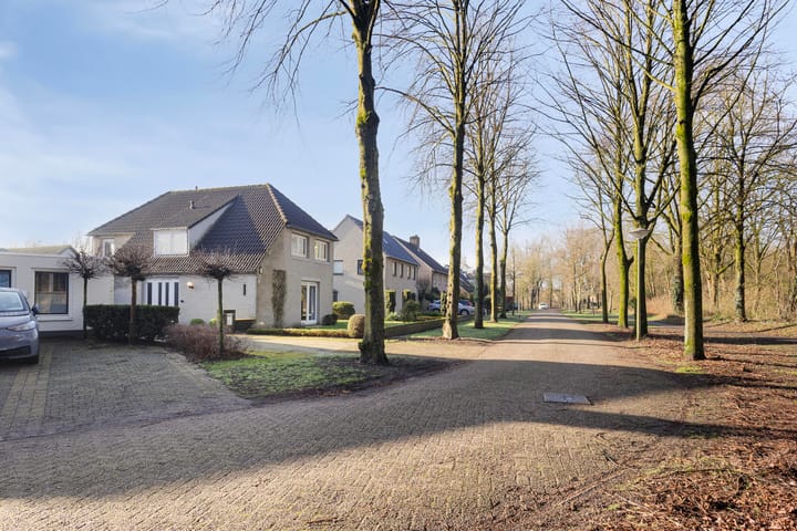 Foto 41 van Mercuriusstraat 6