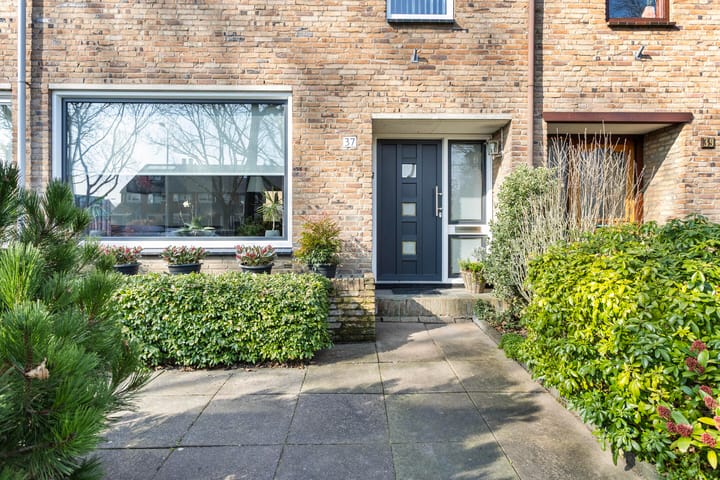 Foto 38 van Una-Corda 37