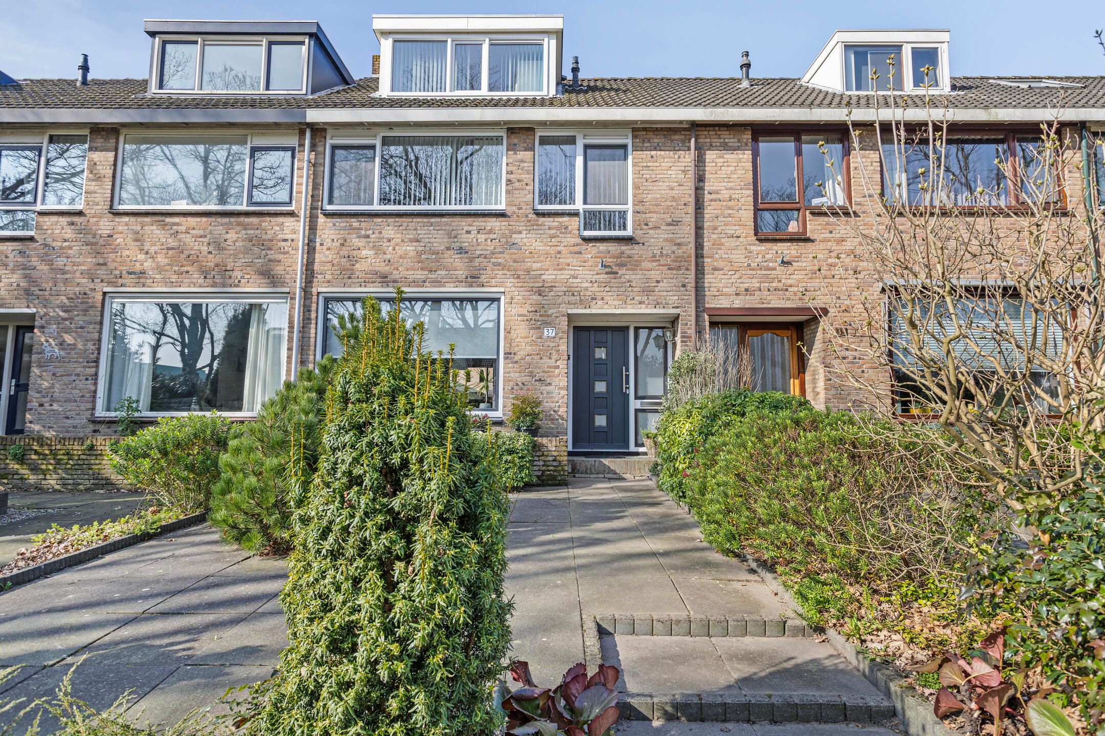 Photo 39 of Una-Corda 37