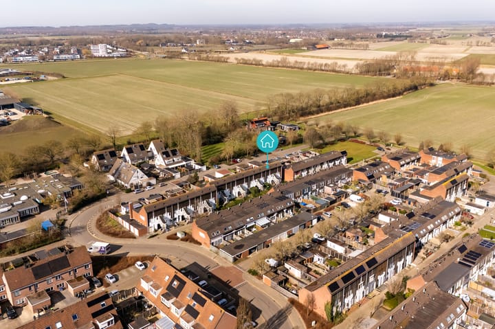 Foto 2 van Kanariesprenk 49