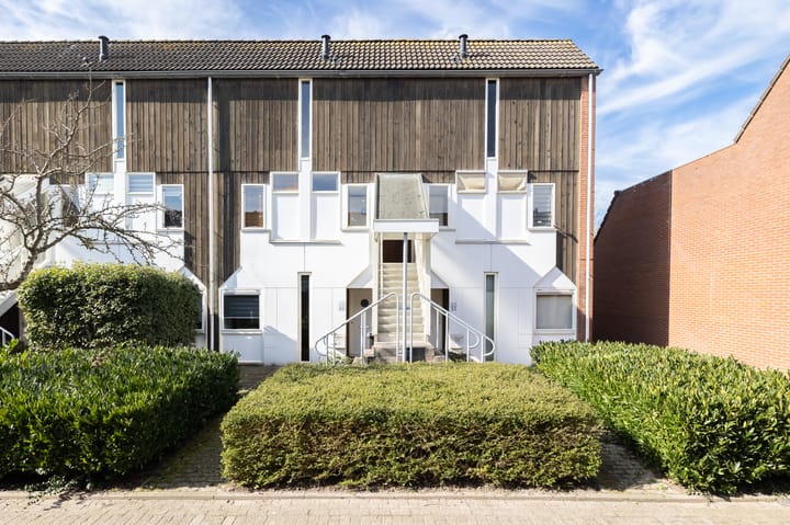 Foto 3 van Kanariesprenk 49